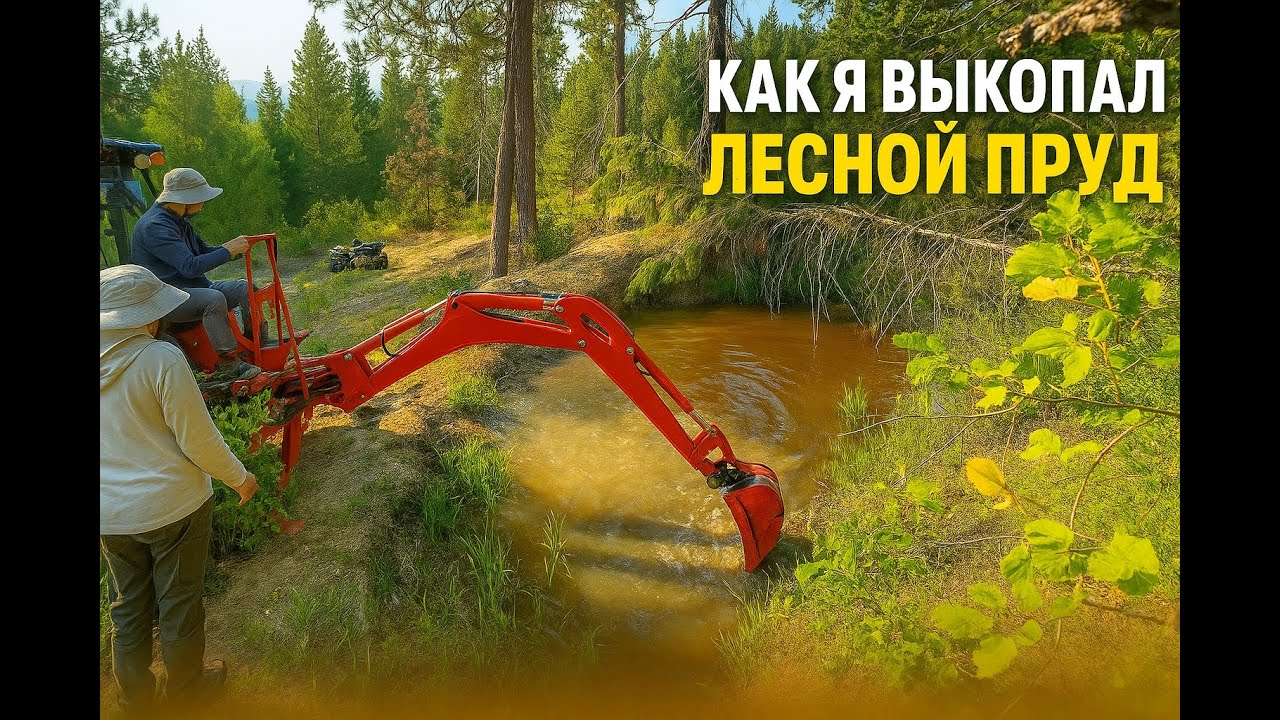 Мой лесной пруд: история создания и результаты через 2 недели