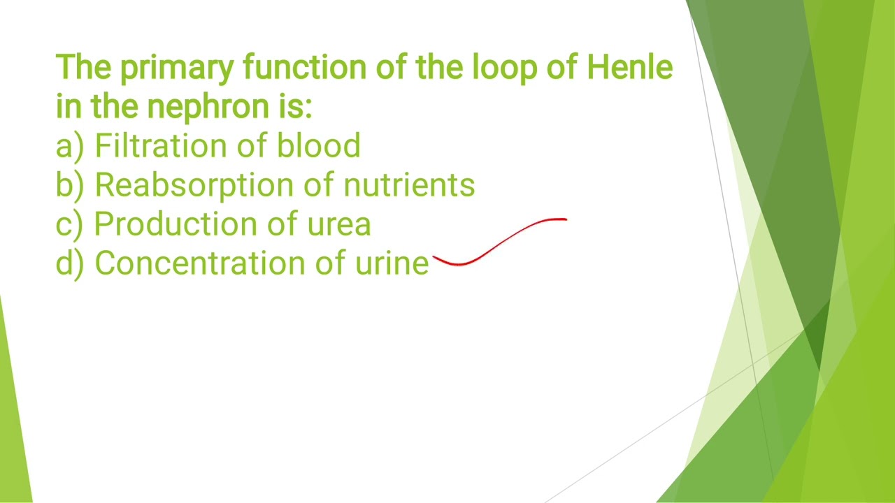 Neet important questions 2025 biology #neet2025 #biology