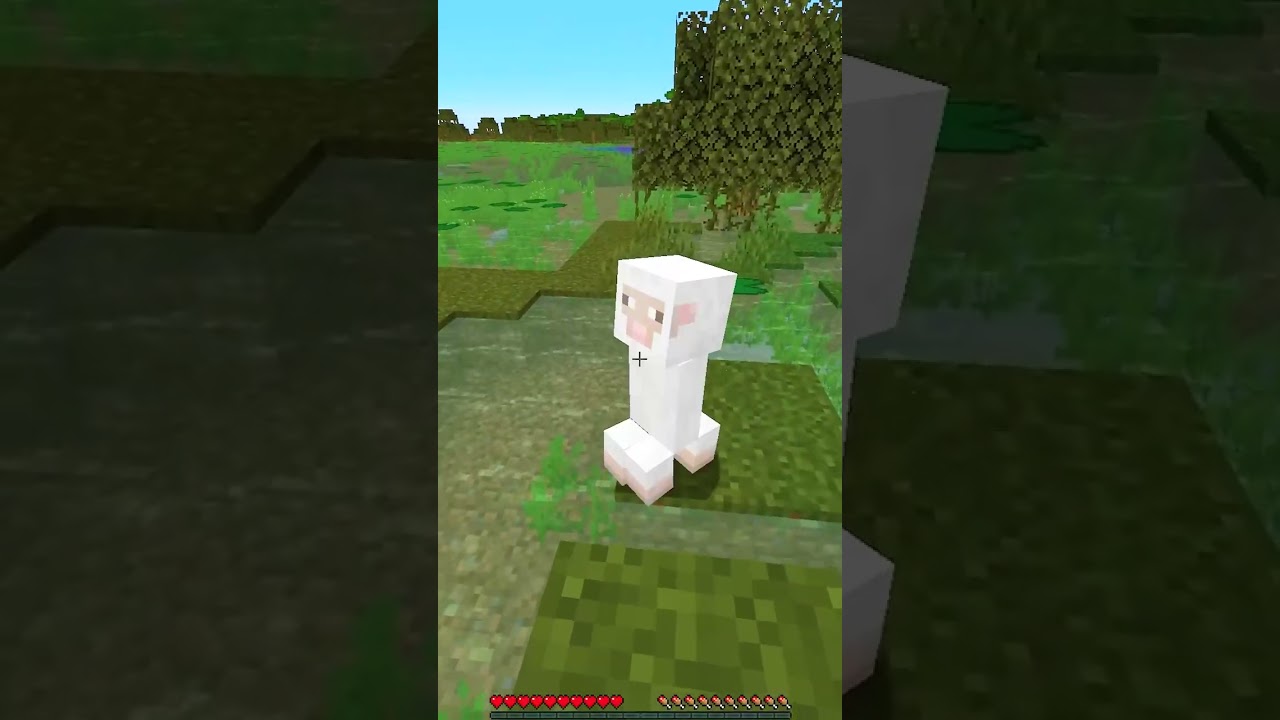 Minecraft, ale owca owca owca owca