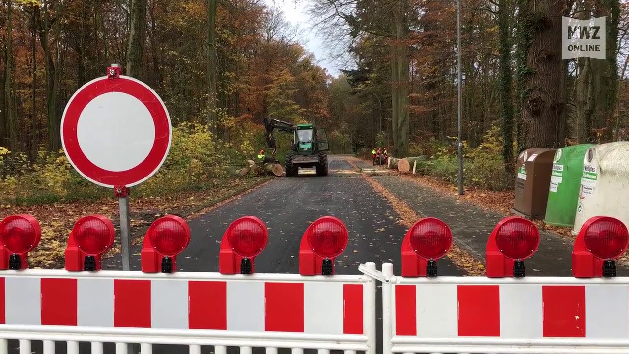 Baumfällung in Varel