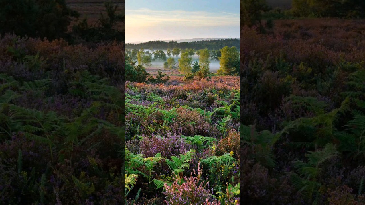 Best hikes in the South Downs 