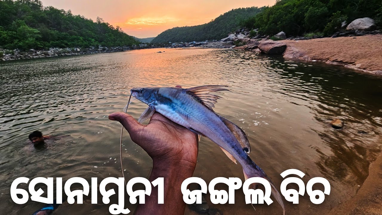 ସୋନାମୁନି || Sonamuni Jungle Beach - A Hidden Beauty || 