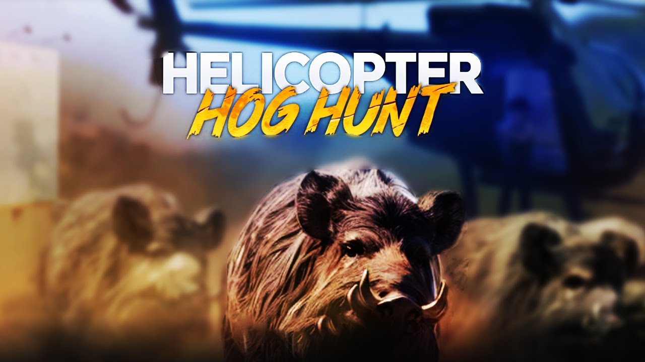CAN I SAVE THE GIRL | HELICOPTER HOG HUNT GAMEPLAY