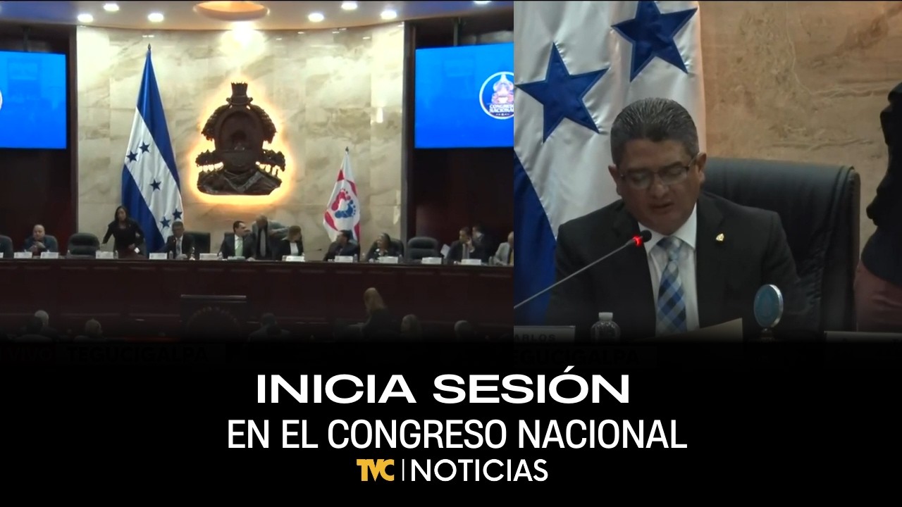 Inicia sesión en el Congreso Nacional.