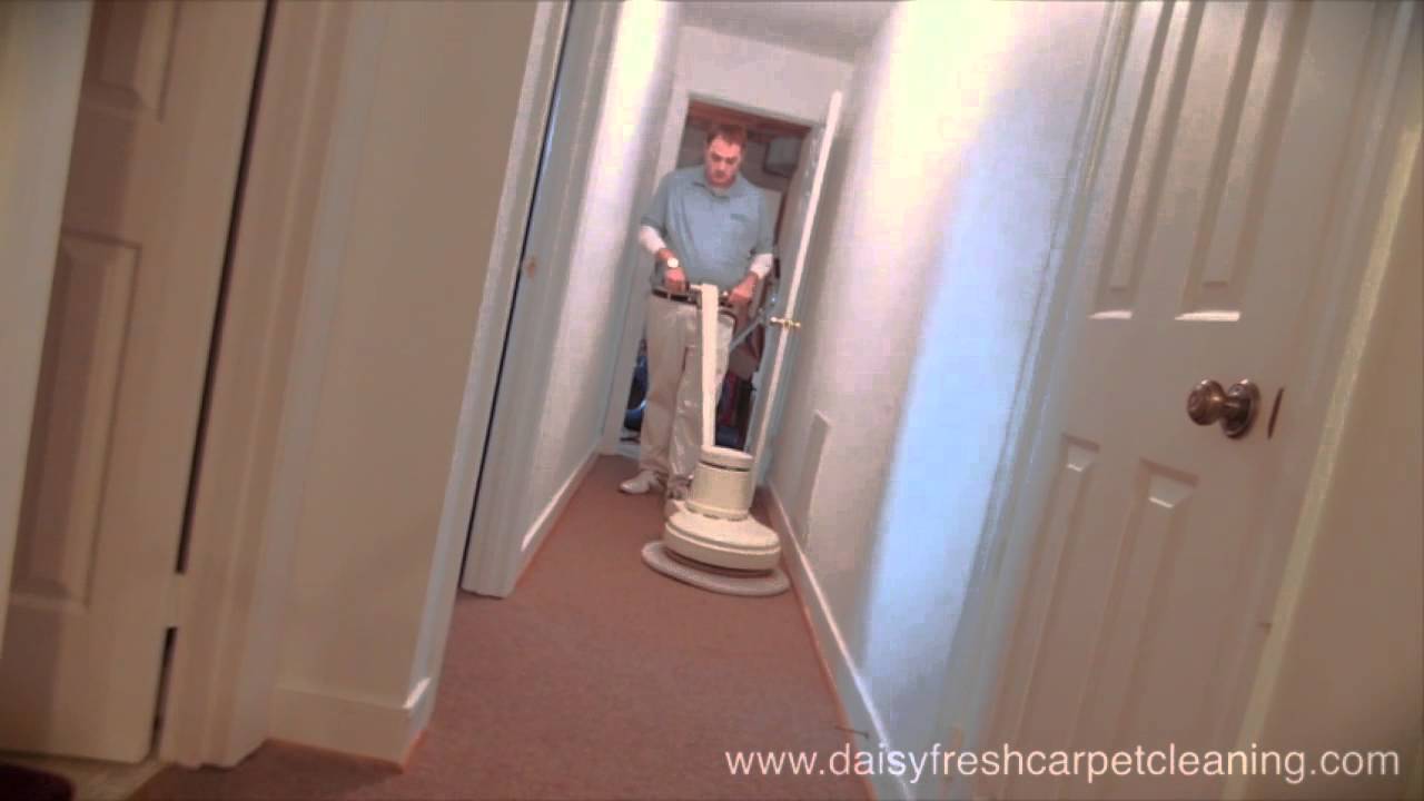 Daisy Fresh Carpet Cleaning Video - Metro Washington D.C.  Carpet, Upholstery, and Rug Cleaning