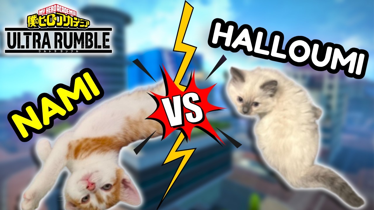 Chat Decides Who Has The CUTEST Cat! | My Hero Ultra Rumble