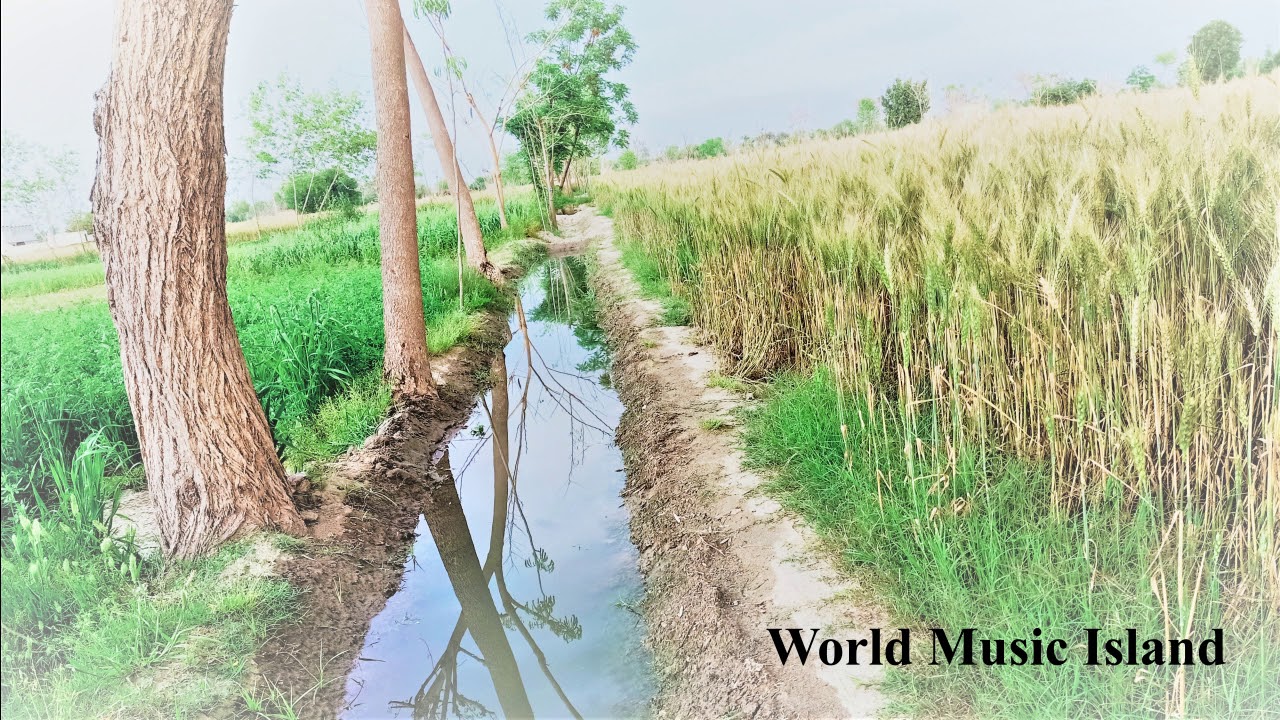 1 Hour Happy Music with beautiful simple village look | Morning Music | BGM | world music island