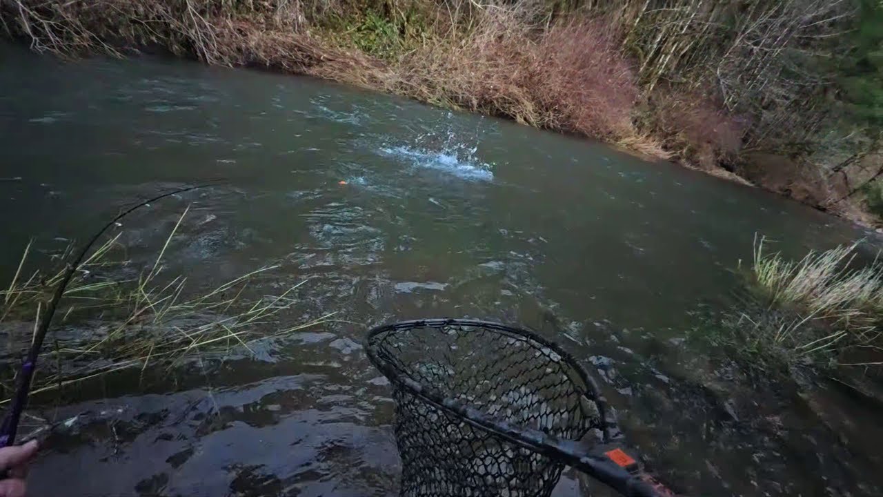 Oregon Winter Steelhead Grind Ep5 (Went 0-3 Rough Day)