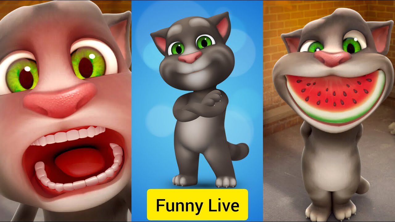 TALKING TOM FUNNY