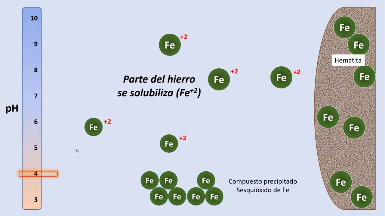 Cap103 Deficiencias nutricionales en las plantas