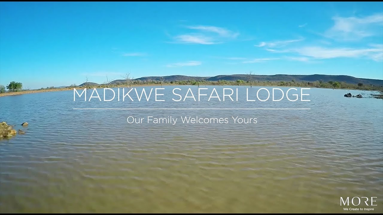 Madikwe Safari Lodge Experience