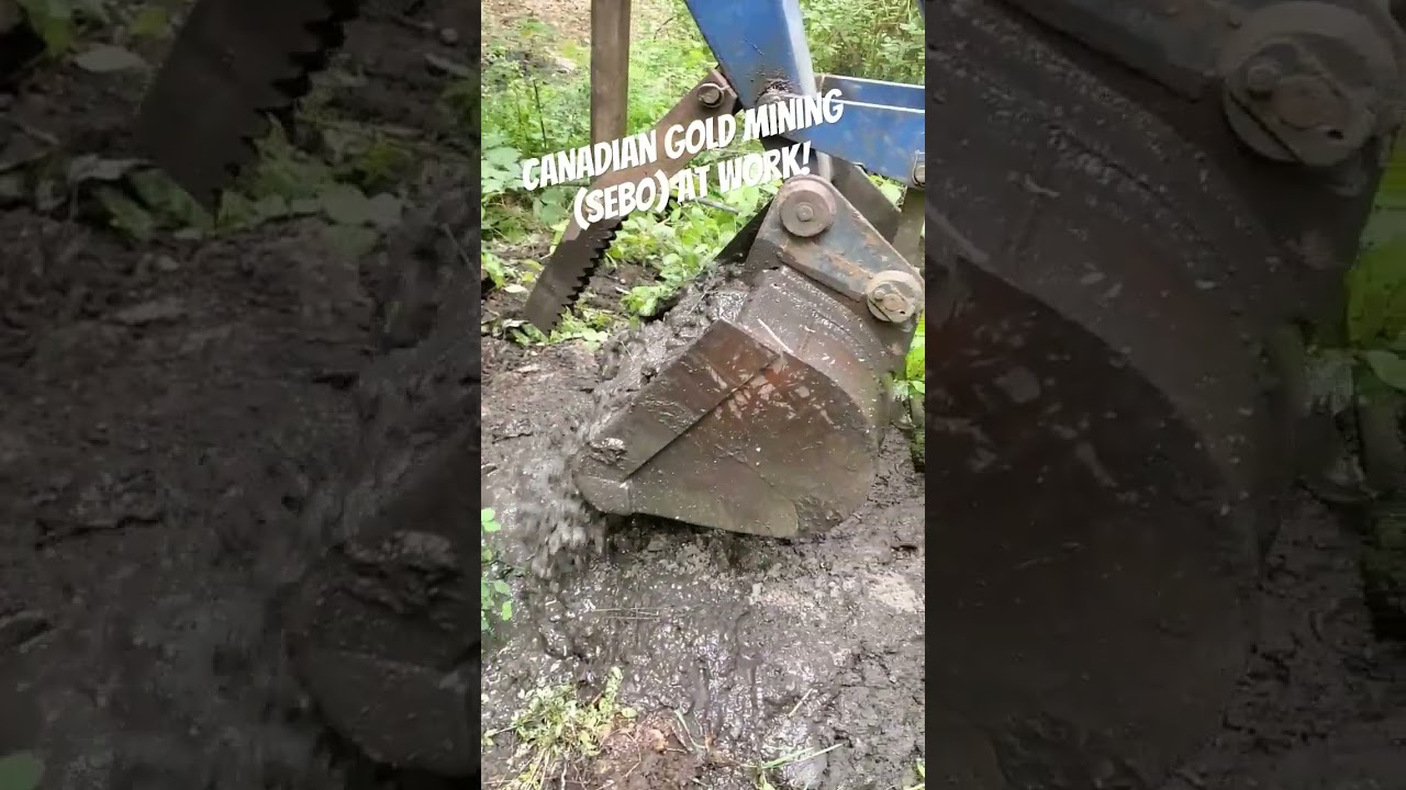 Canadian Gold Mining hard at work!