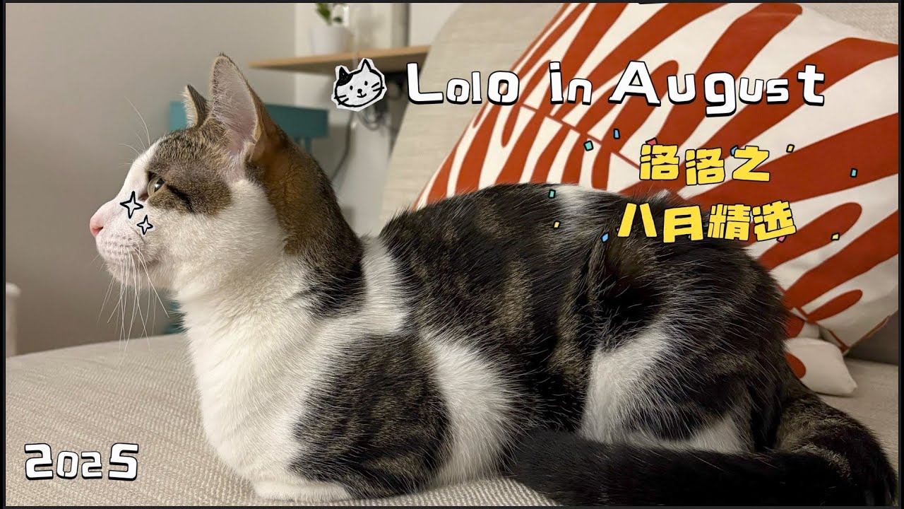 #洛洛來了