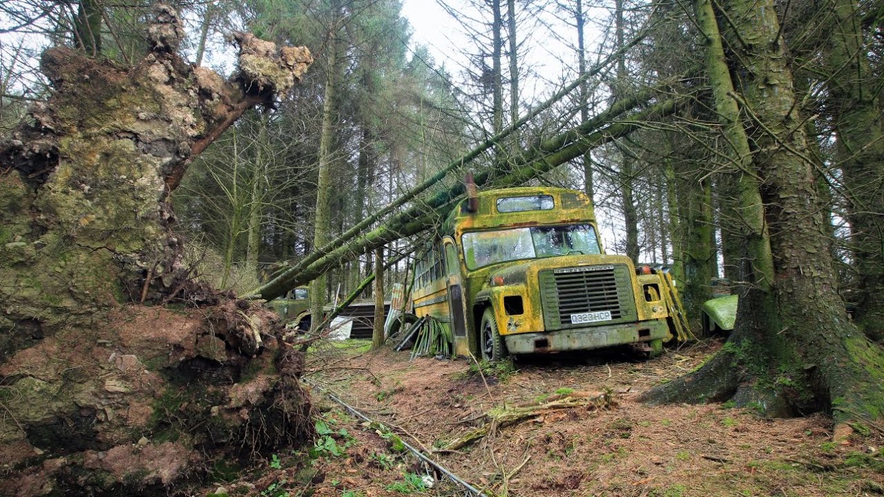 Abandoned American school bus, military vehicles in the forest(spooky) 
