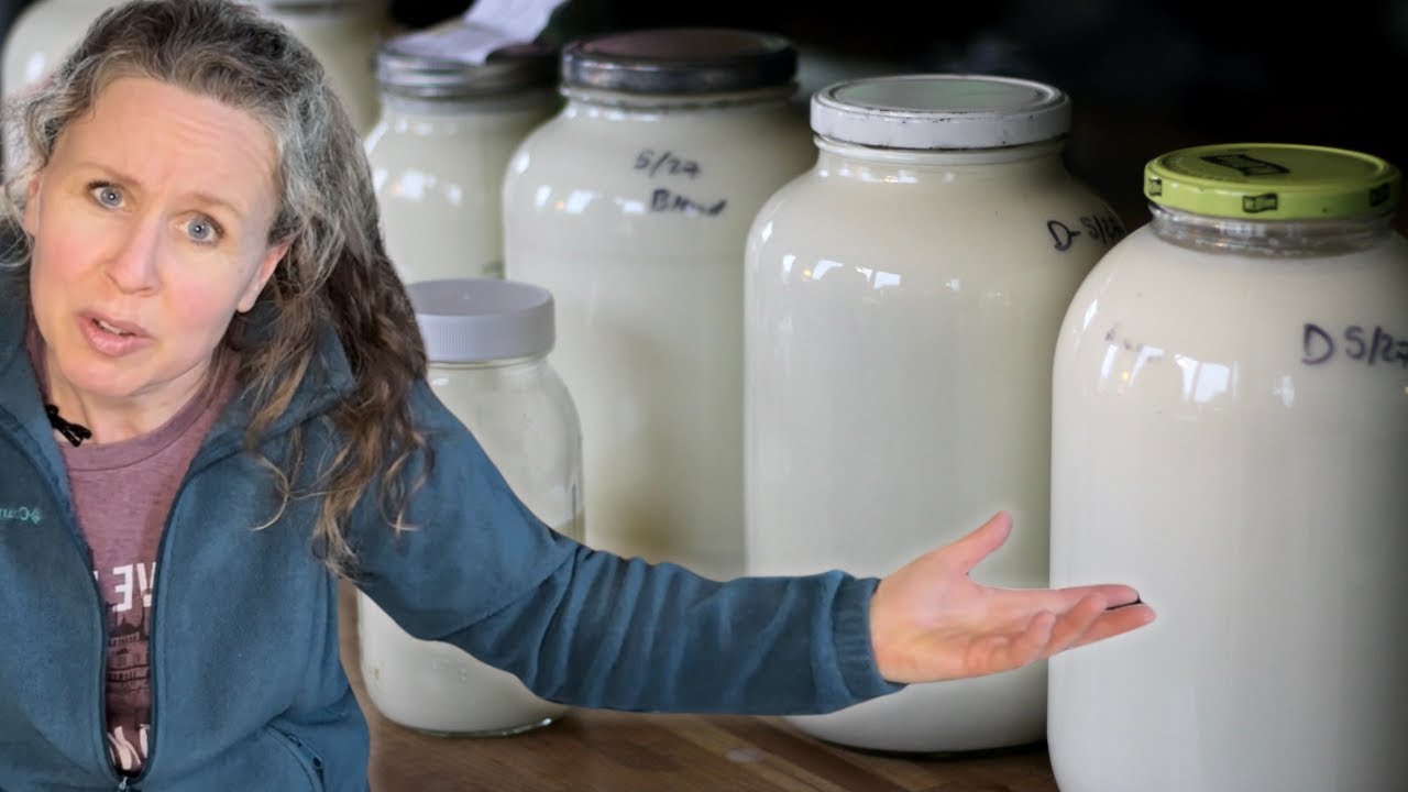 4 Surprising Reasons to Have a Family Milk Cow