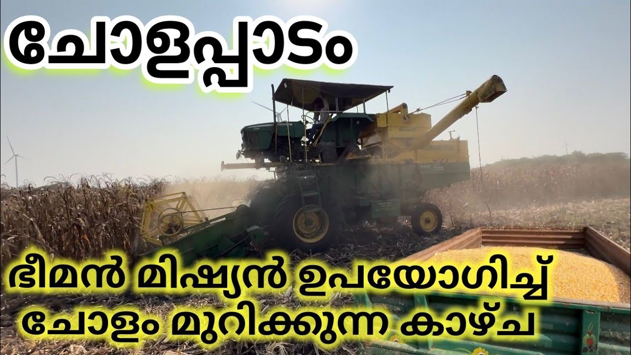 തമിഴ്നാട് കണ്ണത്താ ദൂരത്തെ ചോളപ്പാടം/ 