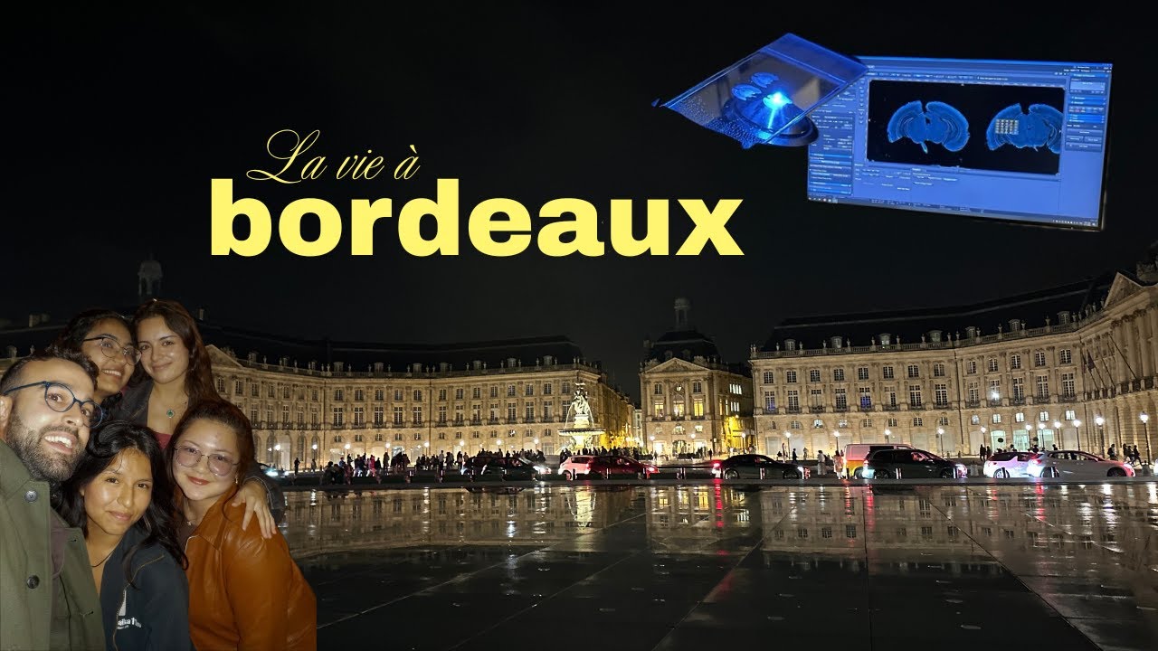 lab days & weekend outings — life in bordeaux, france