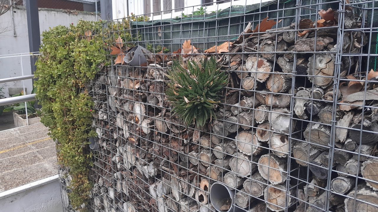 PARED RELLENA DE TRONQUITOS Y COPOS DE PINO ESTILO  JARIDNERAS PARA PLANTAS