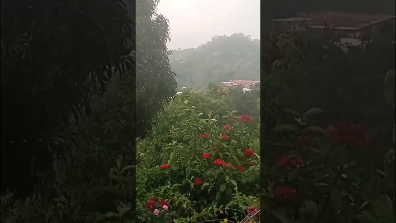 Foggy Cojutepeque 🌫️ | Rare Tropical Storm View in El Salvador   #naturaleza #mountains #fog #bukele
