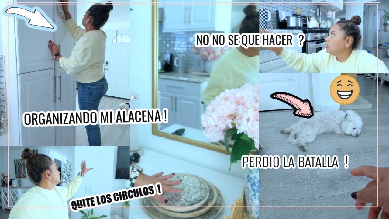 ORGANIZANDO MI ALACENA POR FIN😁QUITE LOS CIRCULOS 😉NO SE QUE HACER? BAILEY QUEDO RENDIDO 😂