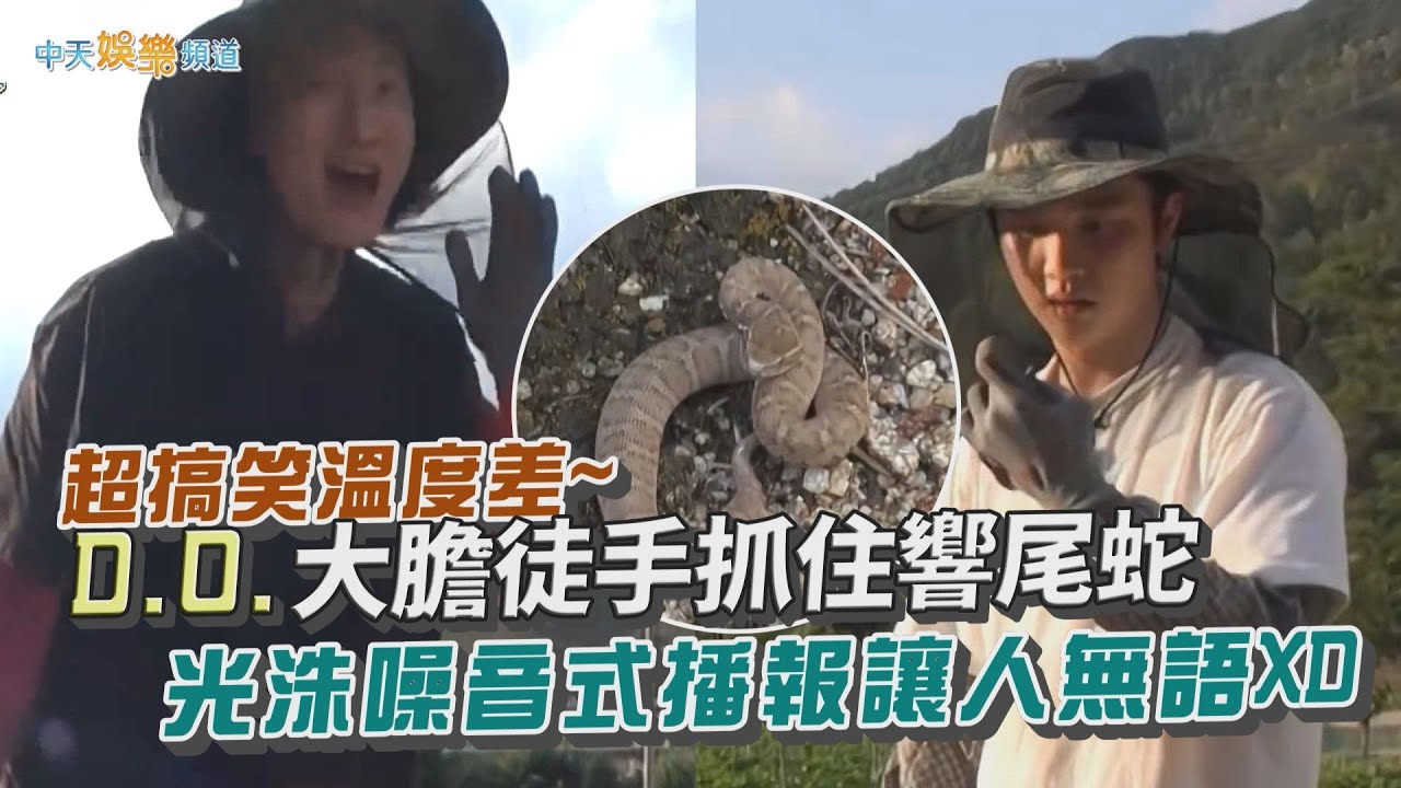 【夯韓綜】超搞笑溫度差~  D.O.大膽徒手抓住響尾蛇  光洙噪音式播報讓人無語XD｜種豆得豆