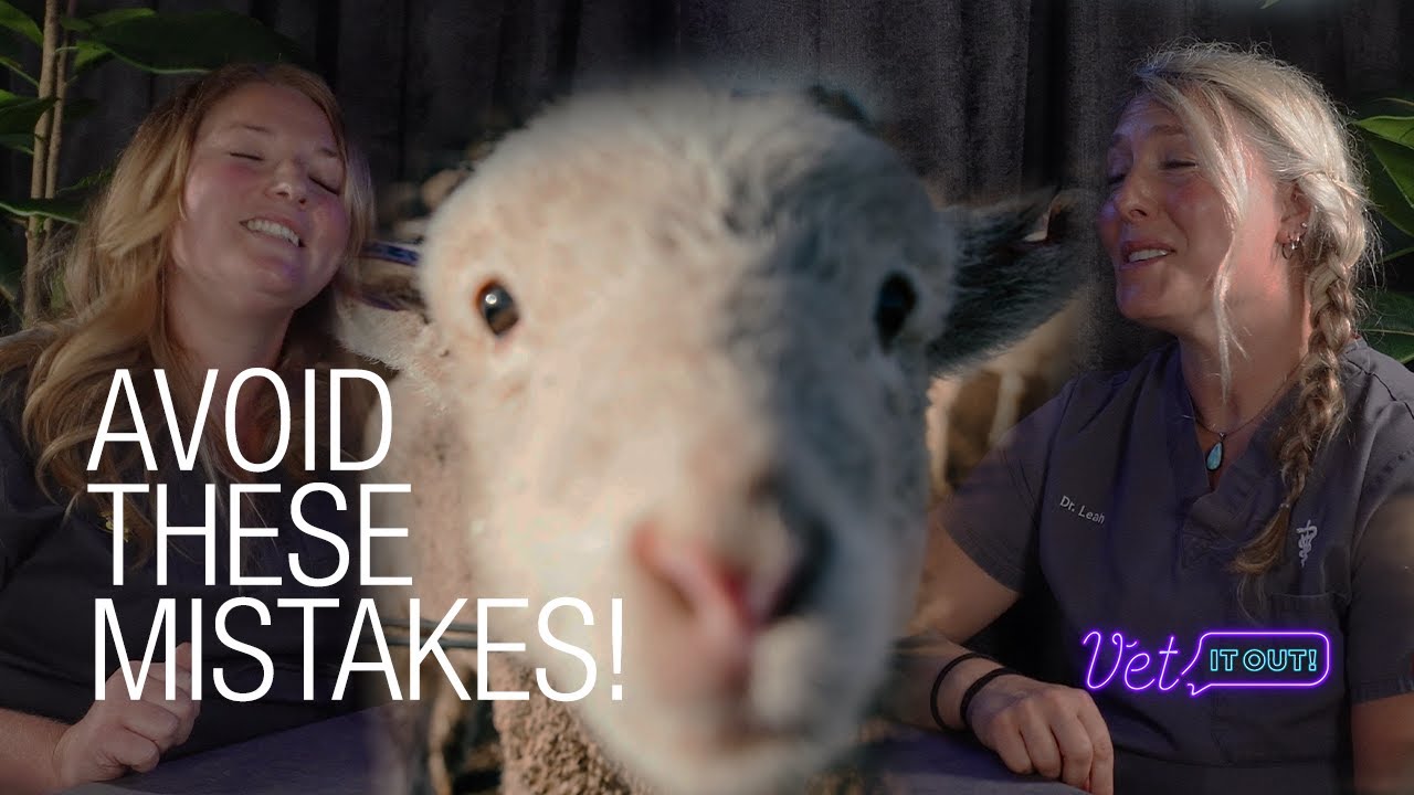 DON'T BUY LIVESTOCK Until You Watch This!  Backyard Farm Mistakes That Cost Thousands
