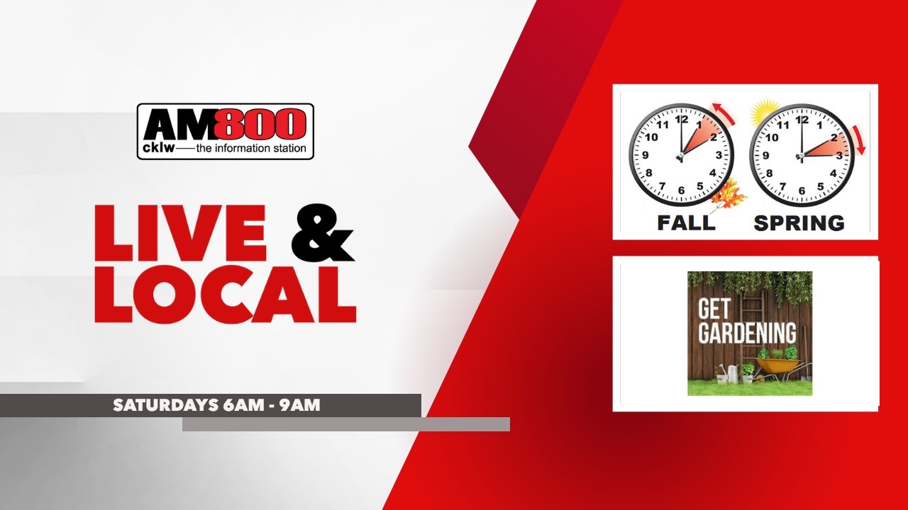 Live and Local with guest host Kristen Siapas - March 7th, 2026