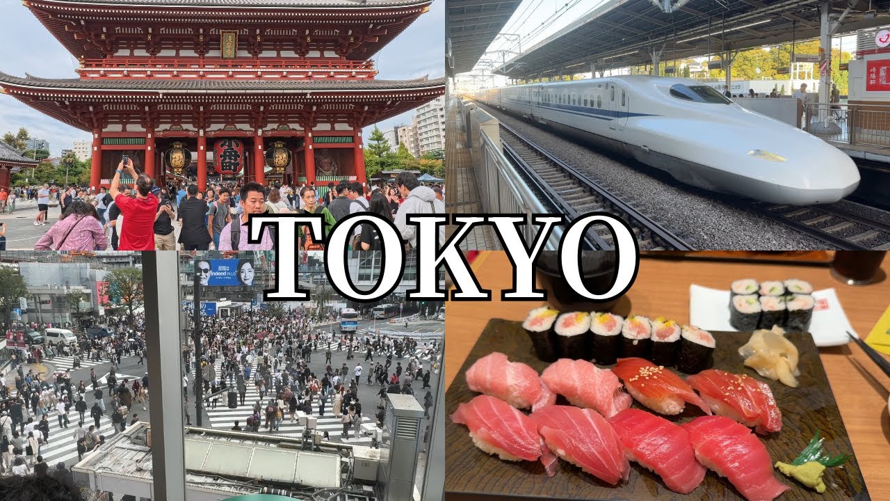 VIAGGIO IN GIAPPONE - Abbiamo trascorso 10 GIORNI A TOKYO🇯🇵😊