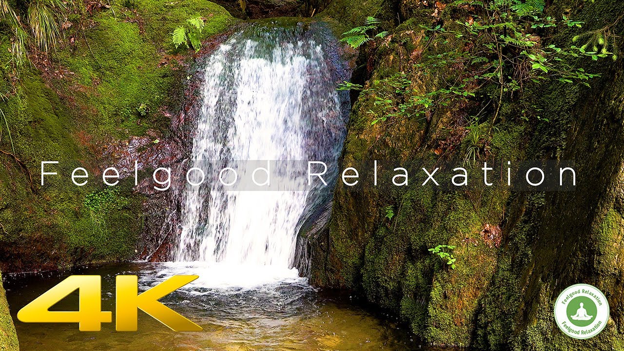 Black Forest Waterfall 10 hours loop 4K