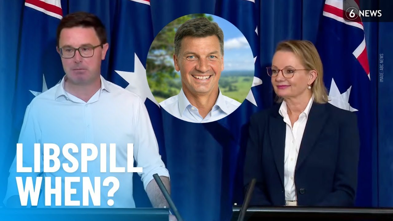 Sussan Ley spill 'inevitable' despite Coalition return