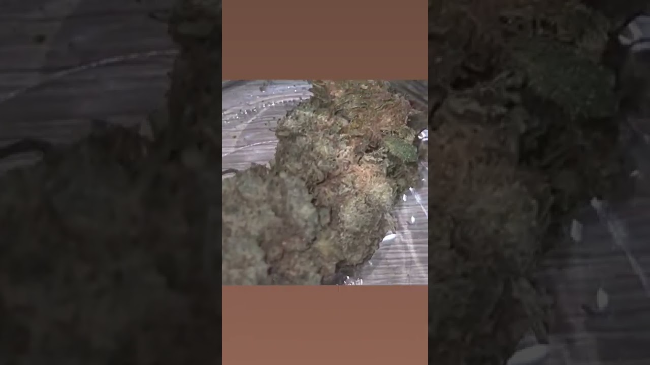 fleur de cbd.com vous propose les meilleures fleurs et r&eacute;sine CBD ainsi que le 3 fois filtr&eacute;