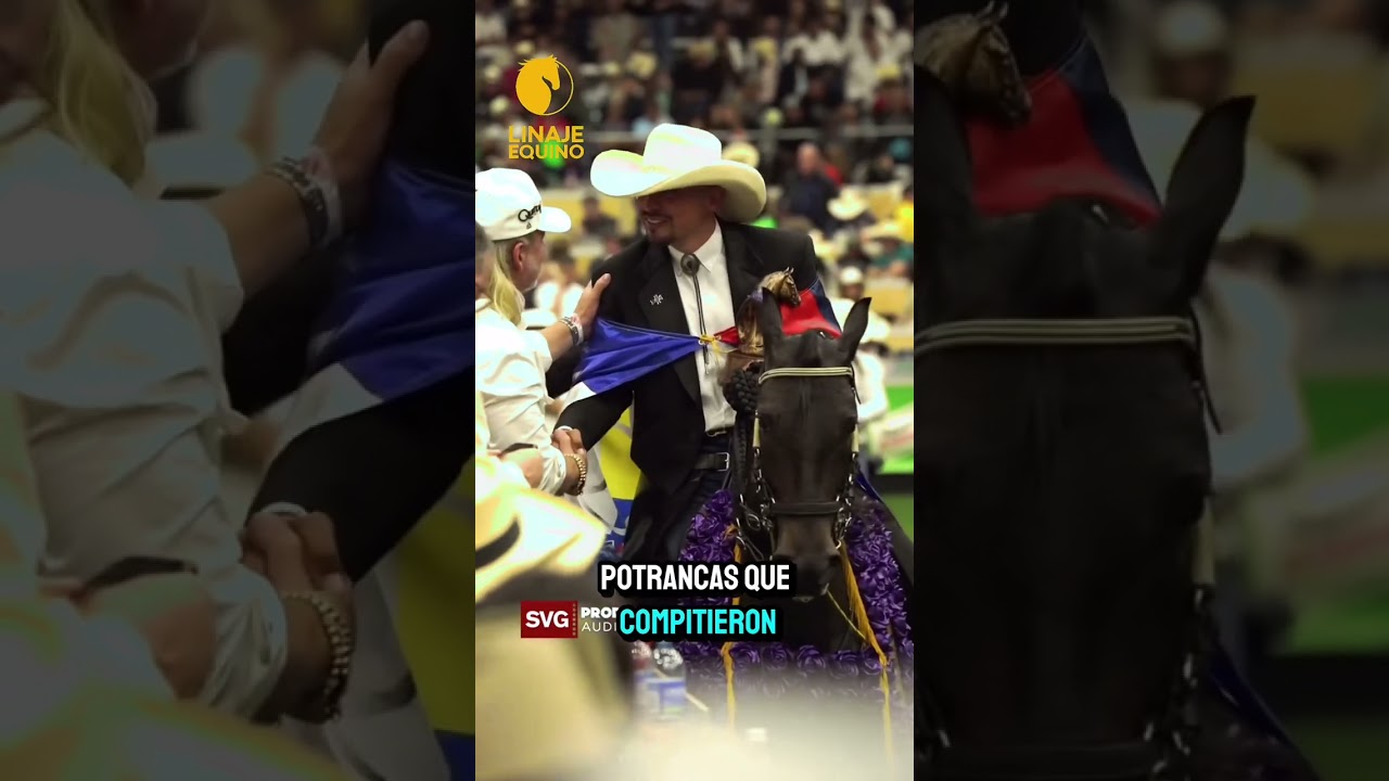 Resumen de un año soñado para el Criadero Cayala 2024 🏆