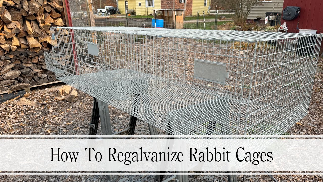 How To Regalvanize Rabbit Cages
