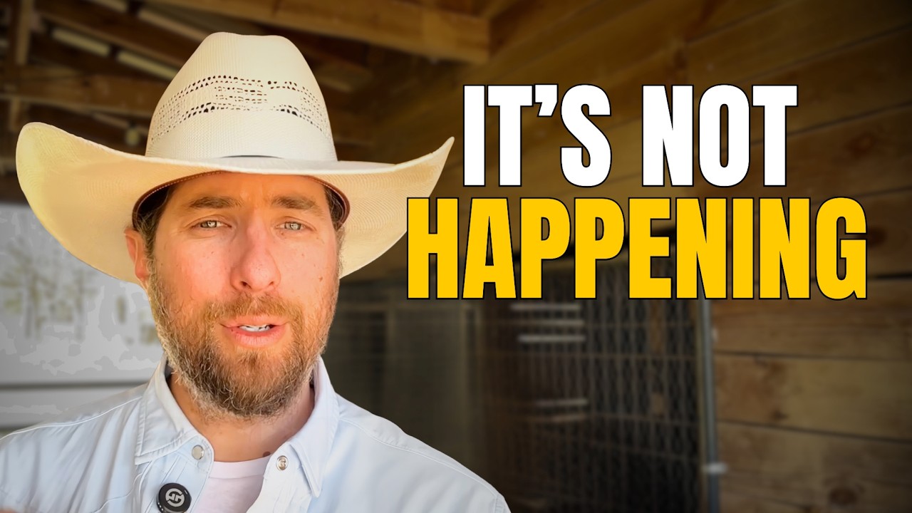 I Know Exactly When Everyone Will Wake Up