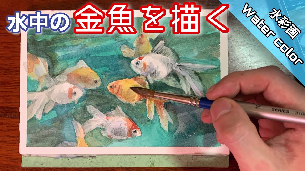 【透明水彩画】金魚の群れと水を描く/描き方 つらら庵 Water color