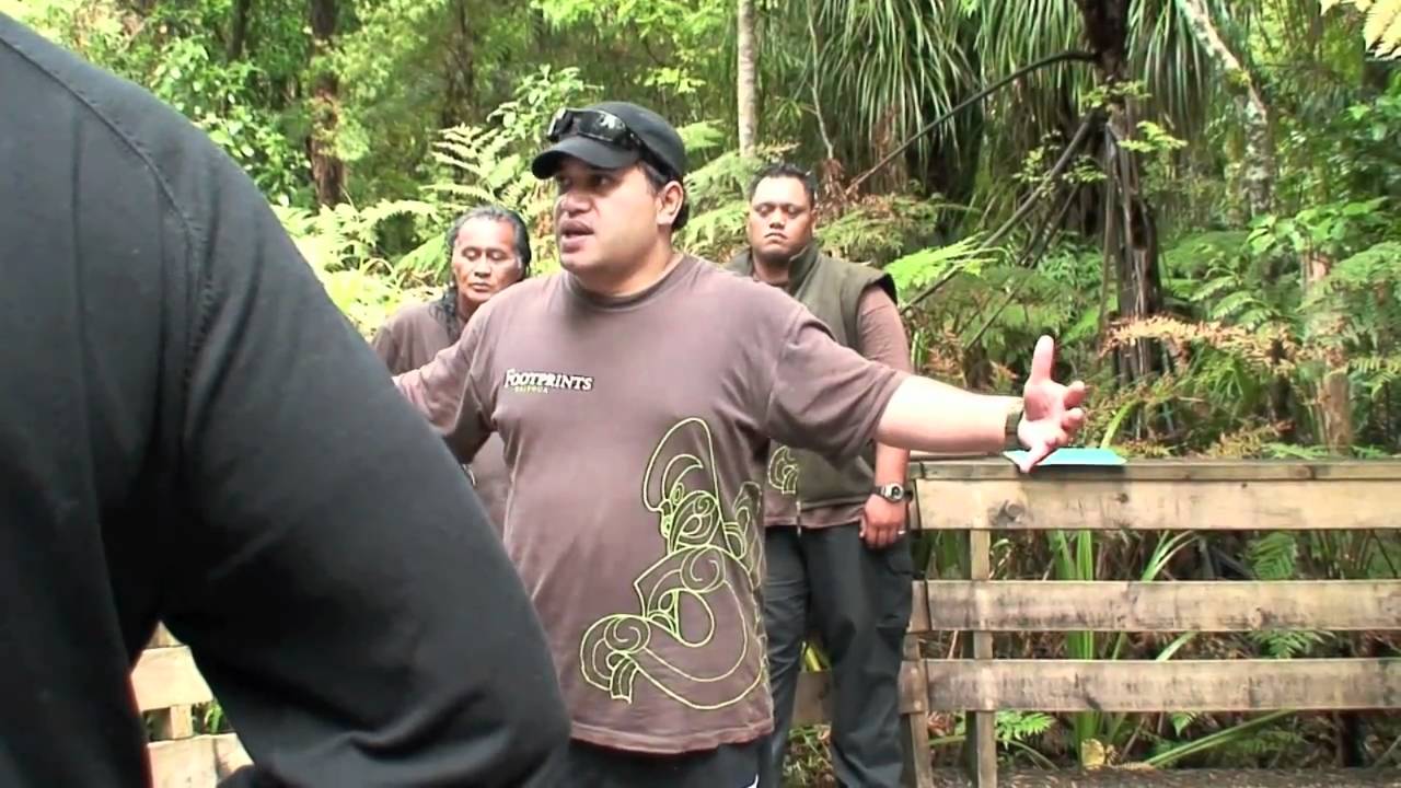 2007 12 08 Bay of Islands Pt 2 Tane Mahuta