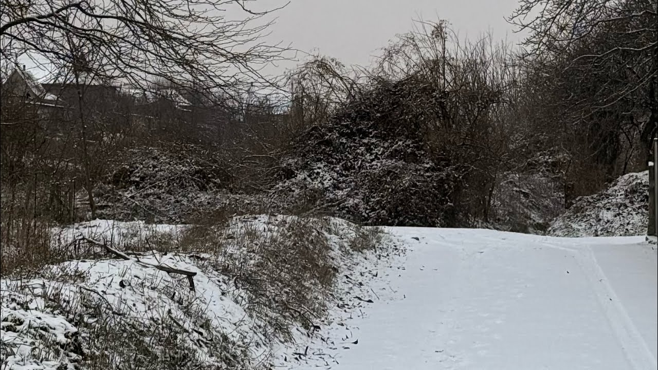 Снег❄️выпал, а настроение — как в детстве 🥰