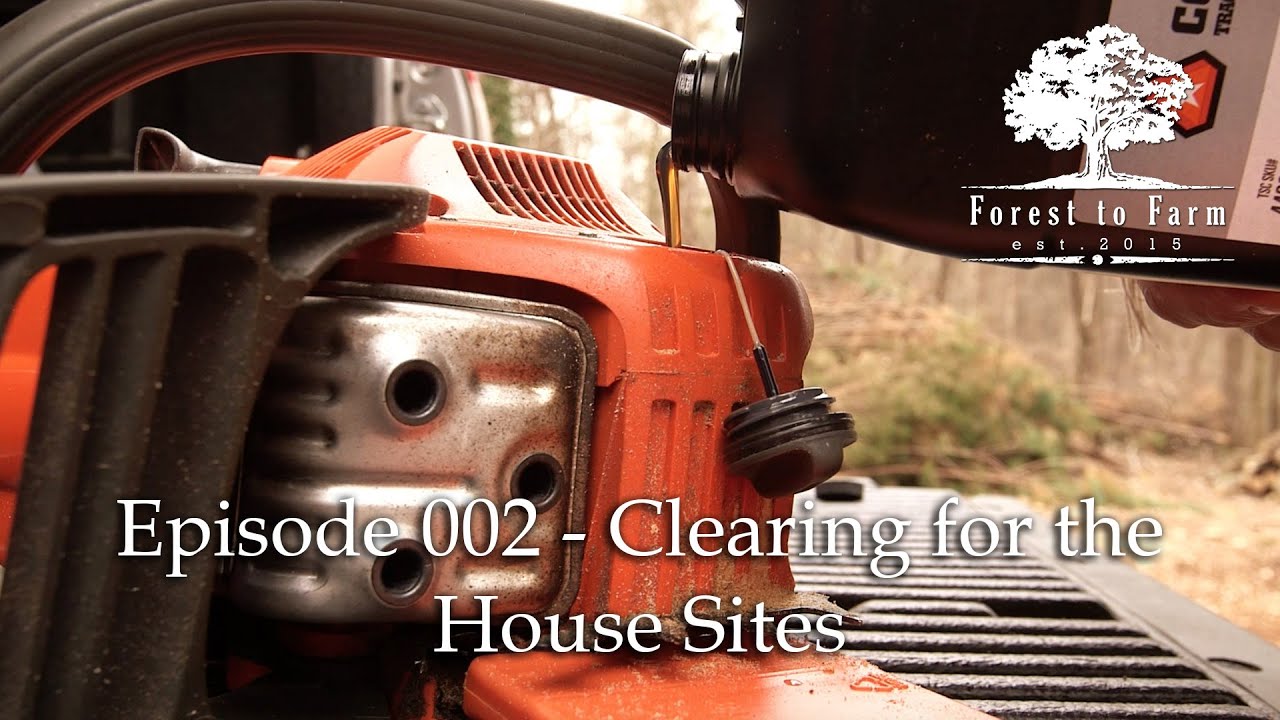 E002 - Forest to Farm - The Beginning: Clearing the Forest