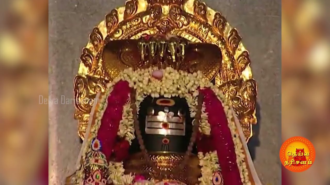 நாகதோஷம் மற்றும் ராகு கேது தோஷ பரிகார திருத்தலம்! பேரையூர் நாகநாதசுவாமி கோவில் | Peraiyur Temple