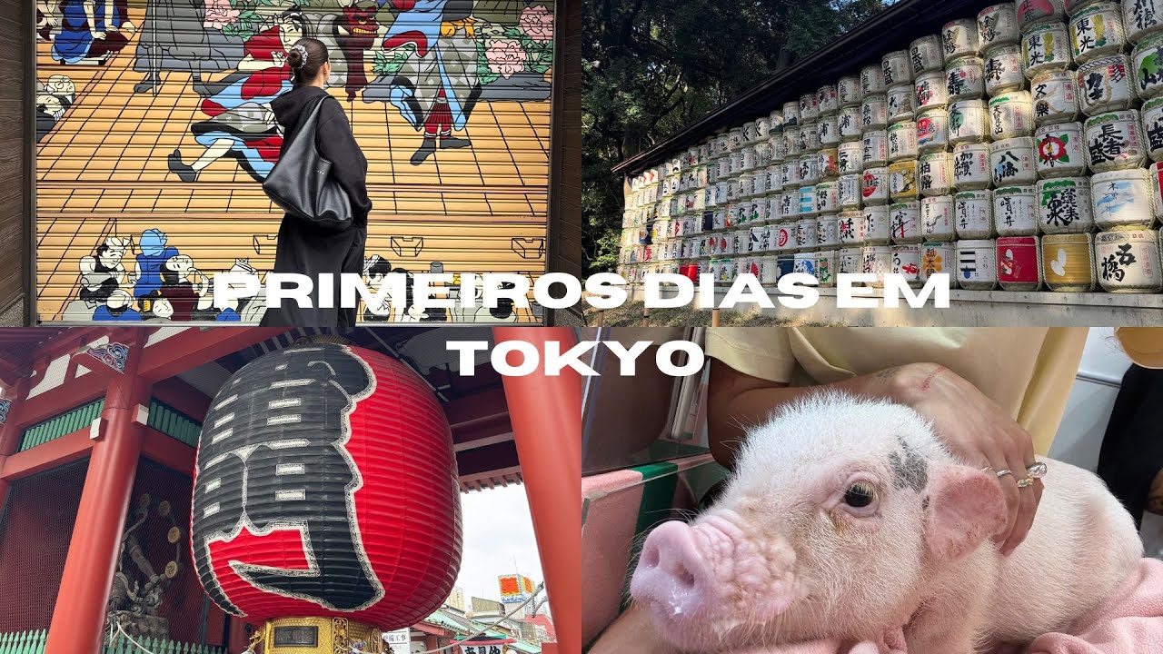 Primeiros dias em Tokyo - ✰ café com porquinhos, templos, melhor panqueca do mundo, etc ✰