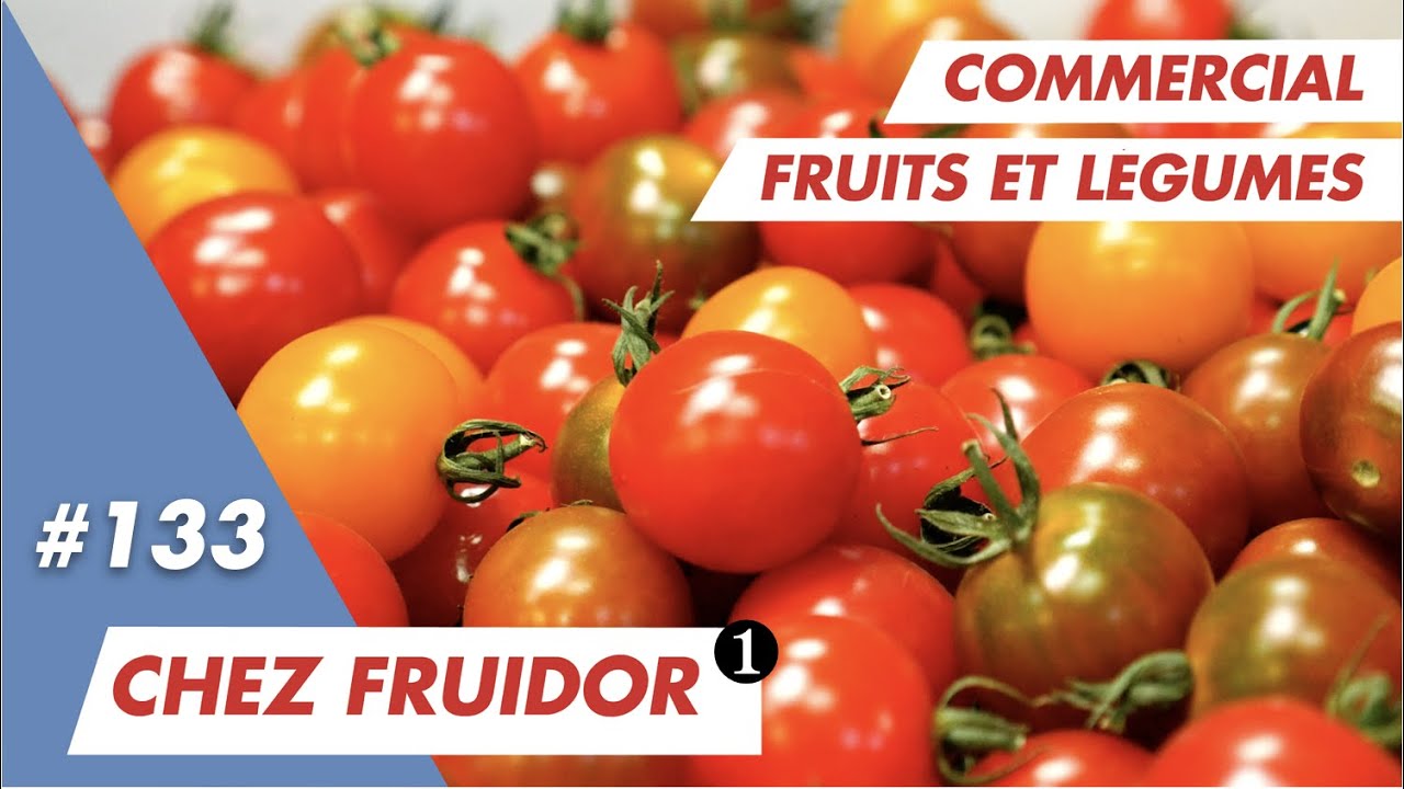 Je viens bosser chez Fruidor dans les Hauts de France avec Céline, commerciale en fruits et légumes