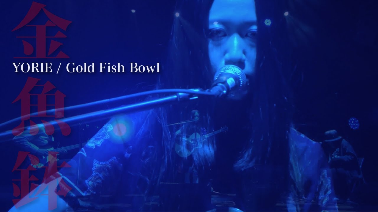 YORIE - Gold Fish Bowl • 金魚鉢 [TIMM- Tokyo International Music Market 2020]