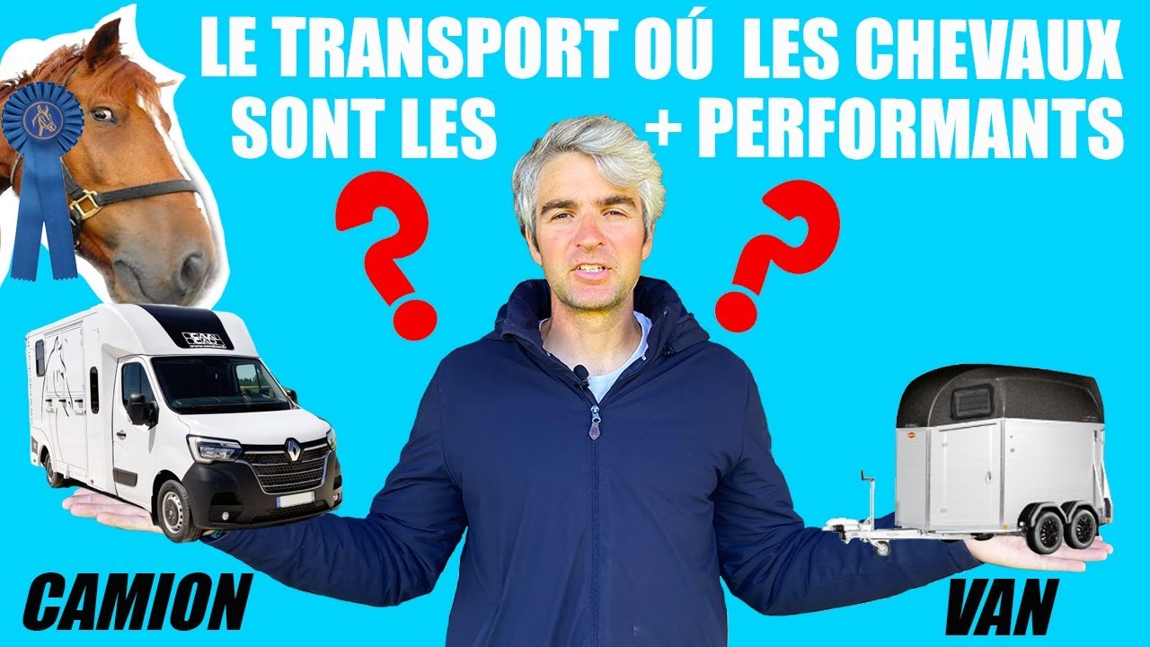VAN ou CAMION : Dans quel transport le cheval est le plus performant en concours ? 🏆