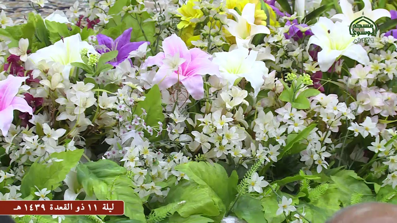 مديح مولود مولانا علي بن موسى الرضا ع  1439هـ