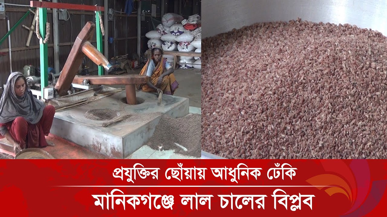 প্রযুক্তির ছোঁয়ায় আধুনিক ঢেঁকি, মানিকগঞ্জে লাল চালের বিপ্লব | Ananda Tv