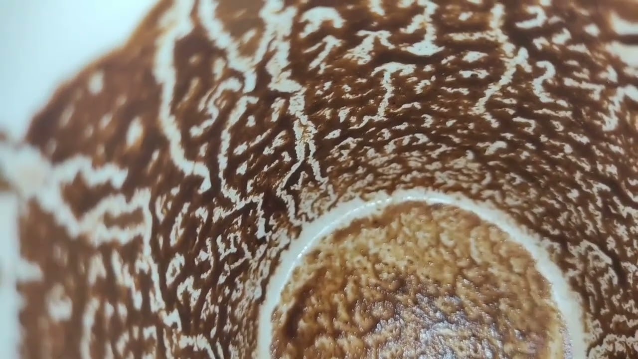 برج الثور ♉اللى بتفكر فيه متخفش منه رجوع للمتفصلين وخروج الطرف الثالث #القارئه_ام_احمد