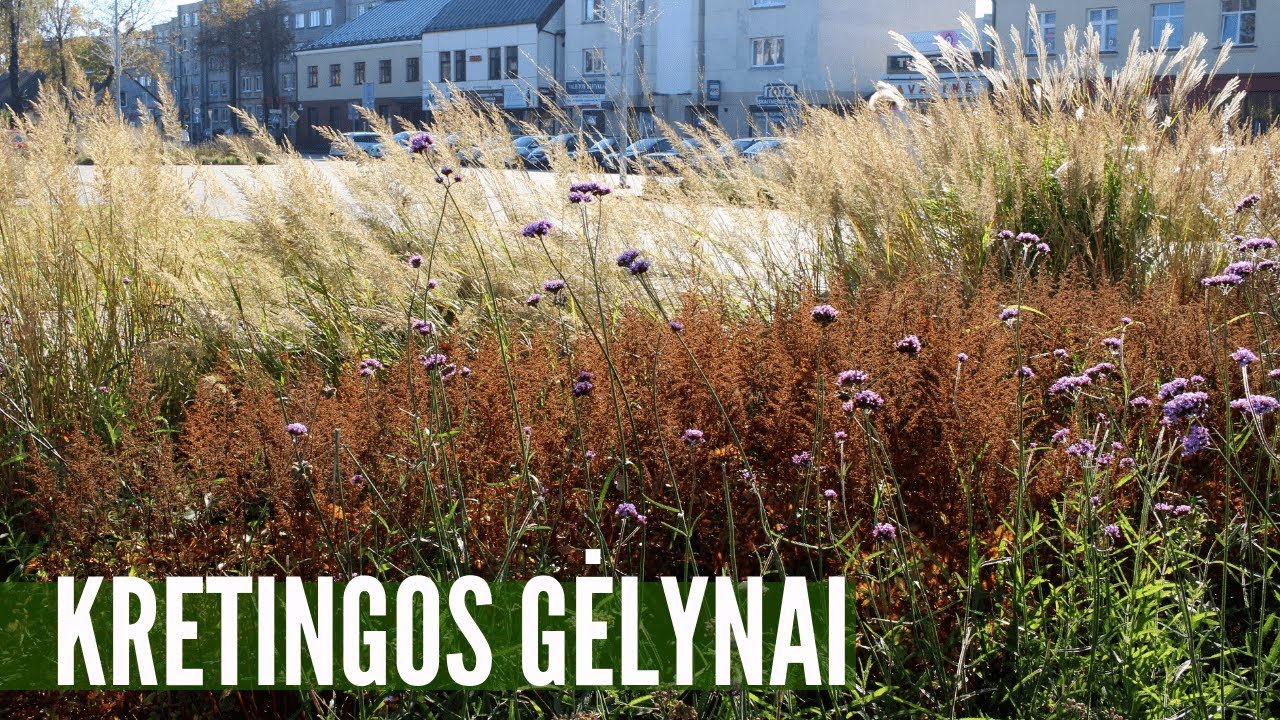 Šiuolaikiški gėlynai Kretingoje: o ar jums patinka???