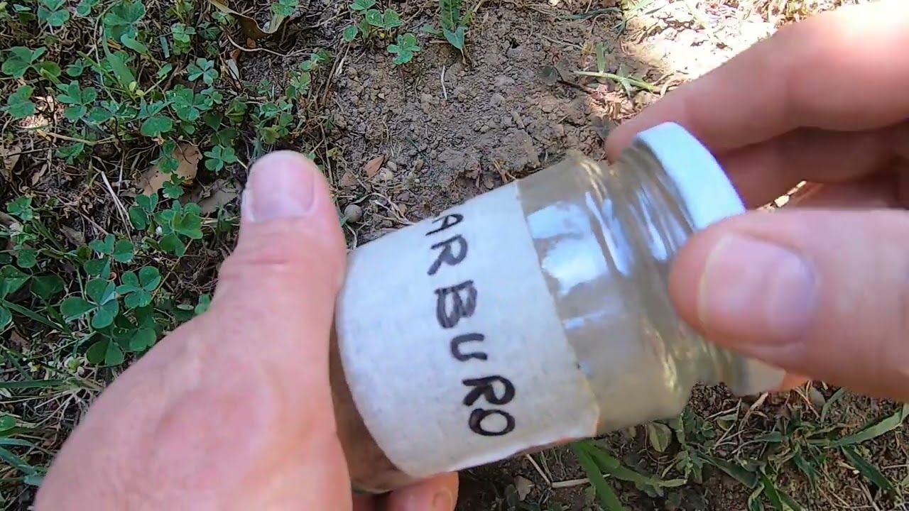 Carburo di calcio contro il Grillotalpa nell'orto