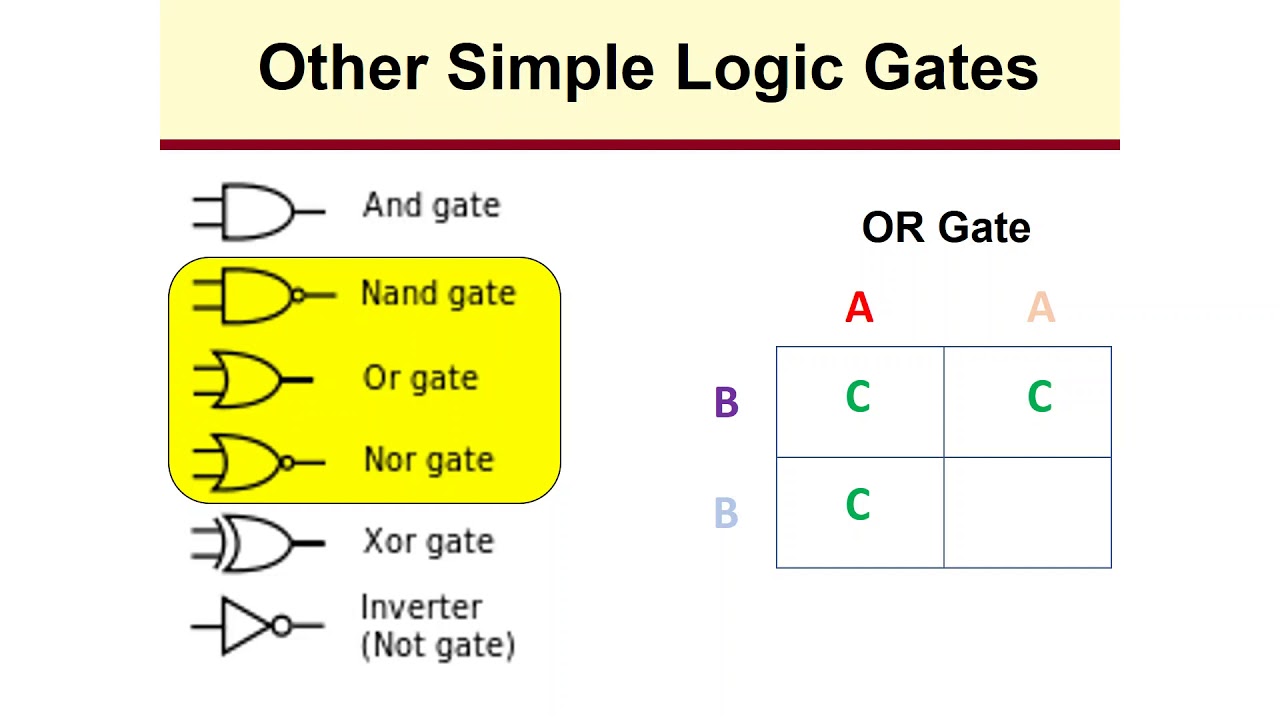 Genetic Circuits