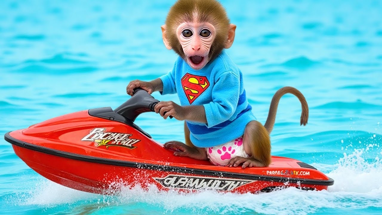 Monkey Baby Shark | Nursery Rhymes & Kids Songs |Bobby Kids Songs #monkey #monkeybaby #animalshome